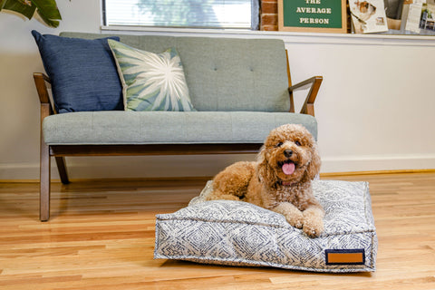 Lounger Pet Bed in Sapphire Spaniel