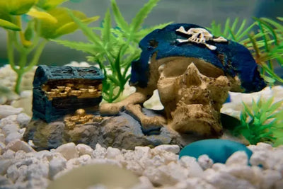 A pirate hat and treasure chest fish tank decor.