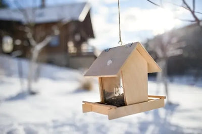 Wooden bird feeder with birdseed hangs outdoors on a snowy winter day. Background features a rustic cabin, bare trees, and a bright sky with sun glare, creating a serene and natural scene.