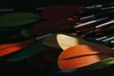 Kayak paddles sitting on the ground.