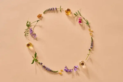 An image of plants and essential oils. 