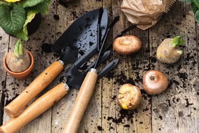 Hand rake and trowel with wooden handles rest on a tree stump in a lush garden. Surrounded by green foliage, the tools feature yellow labels and metal ends, evoking a serene, natural gardening scene.