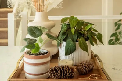 Wooden tray with potted houseplants, a cream ceramic vase of dried grasses, a glass votive candle, pine cones, and a dried orange slice on a light countertop; staircase with white railings in background.