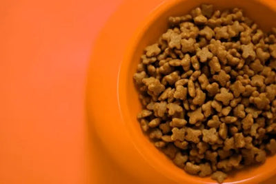 Pet food sitting in an orange bowl, both the pet food and bowl were made in America. 