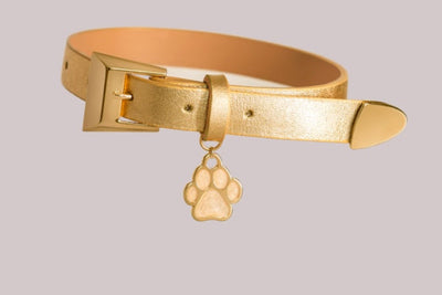 A luxurious golden pet collar with a metallic buckle, adjustable holes, and a paw print charm. The collar features a textured finish and a light tan inner lining, set against a neutral grey background.