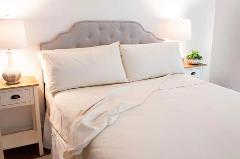 A neatly made bed features the American Blossom Linens Cotton Single [Separate] Fitted Bed Sheet, two pillows, a tufted gray headboard, and bedside tables with lamps—one holding a small plant—in a bright, minimalistic room.