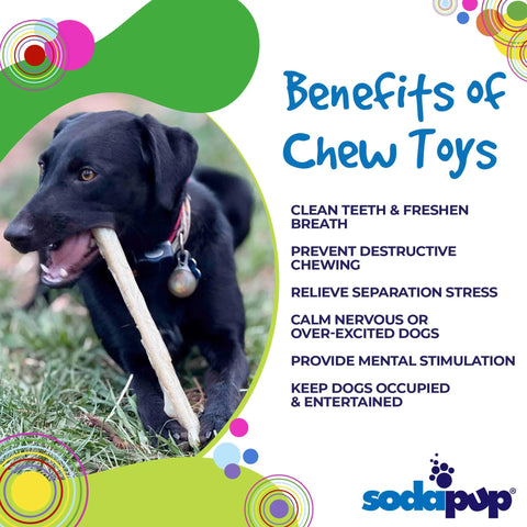 A black dog chews on the SodaPup Durable Nylon Chew Stick while lying on grass. Text highlights benefits such as clean teeth, stress relief, and mental stimulation. The SodaPup logo with colorful circles appears at the bottom right.