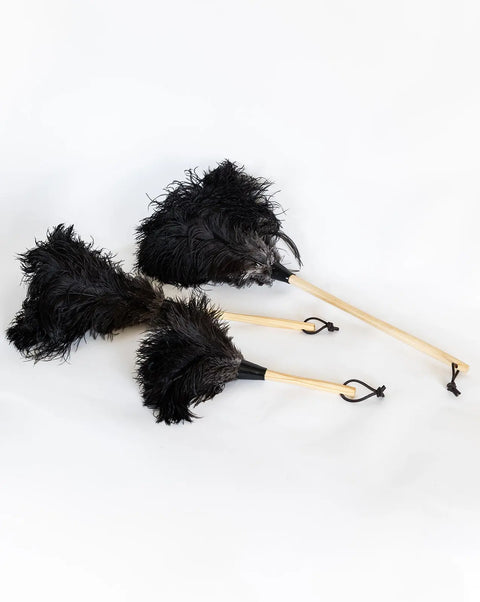20 Inch Ostrich Feather Duster – Non-Allergenic Dusting Tool With Wooden Handle | Made in USA Millstream Home  Homegoods
