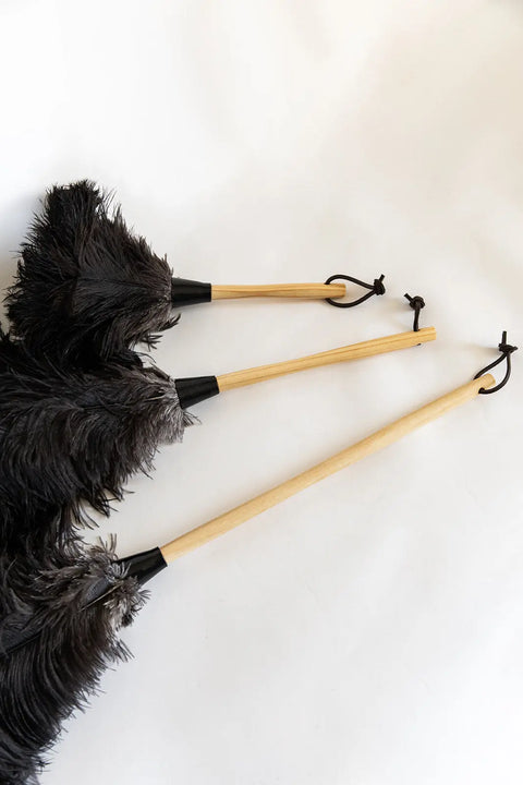 20 Inch Ostrich Feather Duster – Non-Allergenic Dusting Tool With Wooden Handle | Made in USA Millstream Home  Homegoods