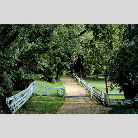 A Colonial Lane, Wooden Puzzle, 585 Pcs Perplexing Puzzles  Jigsaw Puzzles