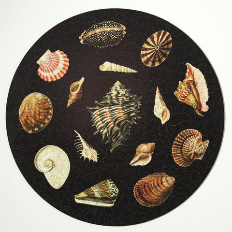 Shells, Wooden Puzzle, 358 Pcs Perplexing Puzzles  Jigsaw Puzzles