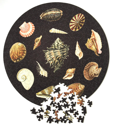 Shells, Wooden Puzzle, 358 Pcs Perplexing Puzzles  Jigsaw Puzzles