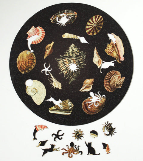Shells, Wooden Puzzle, 358 Pcs Perplexing Puzzles  Jigsaw Puzzles