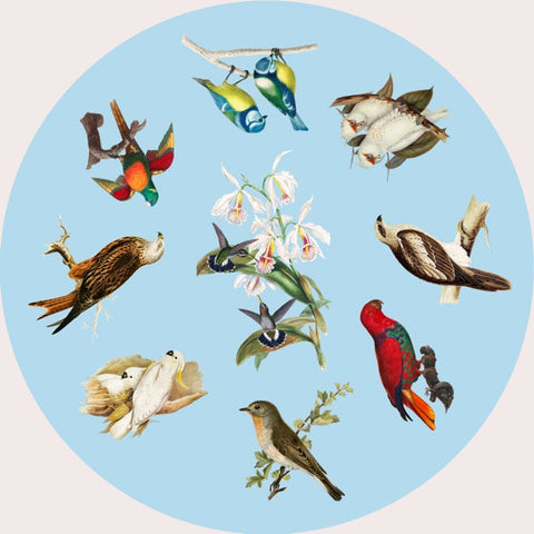 Birds, Wooden Puzzle, 360 Pcs Perplexing Puzzles  Jigsaw Puzzles