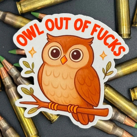 3 Inch Humorous Owl Decorative Sticker – Creative Arts & Crafts Embellishment | Made in USA American Lictor  Vinyl Stickers
