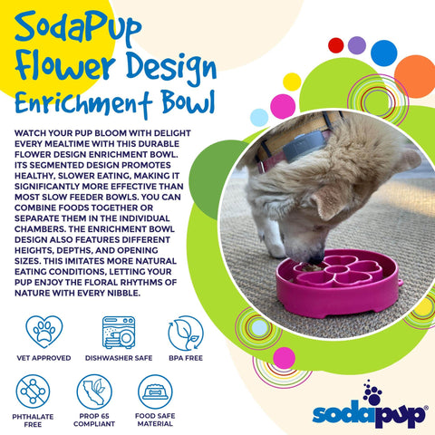 Flower Design Slow Feeder Dog Bowl – Interactive Enrichment Mealtime | Made in USA SodaPup  EBOWL