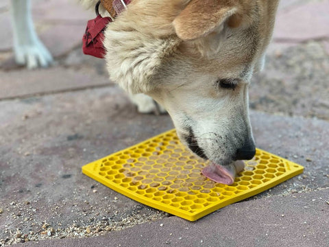 Large Blue Jigsaw And Yellow Honeycomb Dog Lick Mat Bundle – Enrichment Feeder | Made in USA SodaPup  EMAT