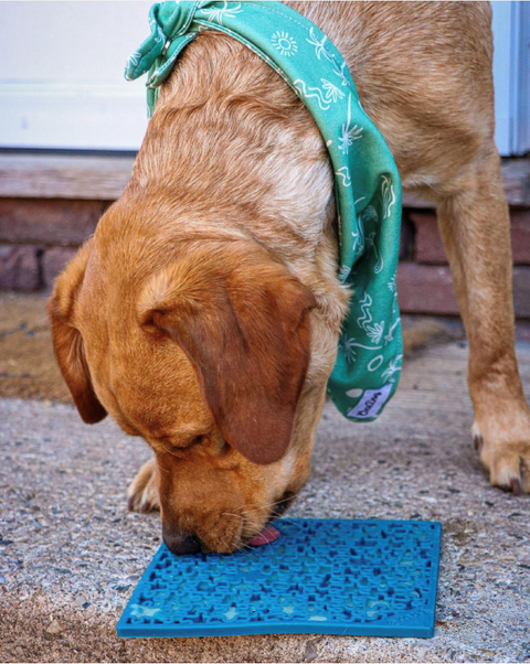 Large Blue Jigsaw And Yellow Honeycomb Dog Lick Mat Bundle – Enrichment Feeder | Made in USA SodaPup  EMAT