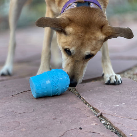 Ice Cream Cone Treat Dispenser Dog Chew Toy – Durable PUP-X Rubber | Made in USA SodaPup  Rubber Dog Toys