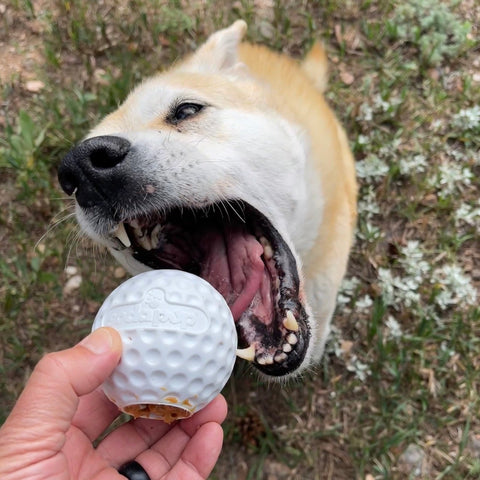 Golf Ball Shaped Dog Treat Dispenser Toy – Durable Rubber Enrichment | Made in USA SodaPup  Rubber Dog Toys