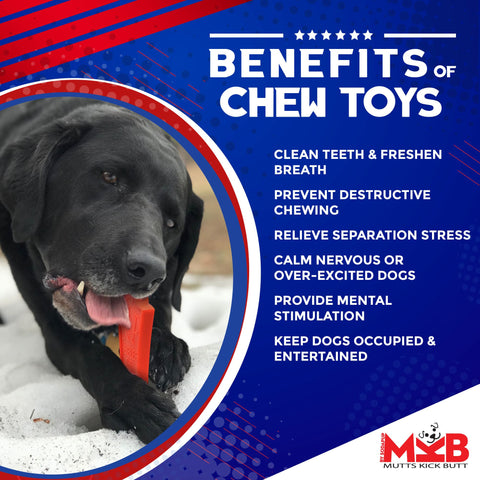 Headstone Heavy Duty Nylon Dog Chew Toy – Tough Power Chewer Durable | Made in USA SodaPup  Nylon Dog Toys