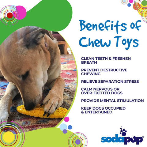 Corn on the Cob Nylon Dog Chew Toy – Extra Tough Durable Chewer Toy | Made in USA SodaPup  Nylon Dog Toys