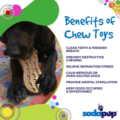Peanut-Shaped Durable Nylon Dog Chew Toy – Treat Dispensing – Made in USA SodaPup  Nylon Dog Toys