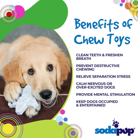 Snowflake Nylon Dog Chew Toy – Durable Interactive Chewer | Made in USA SodaPup  Nylon Dog Toys