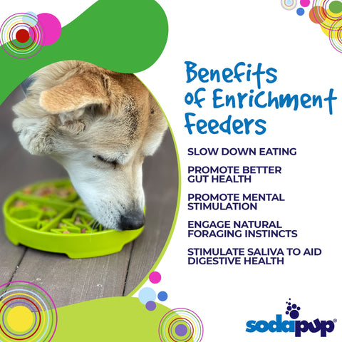 Four Seasons Design Enrichment Slow Feeder Tray for Dogs – 11 Inch – Made in USA SodaPup  ETRAY
