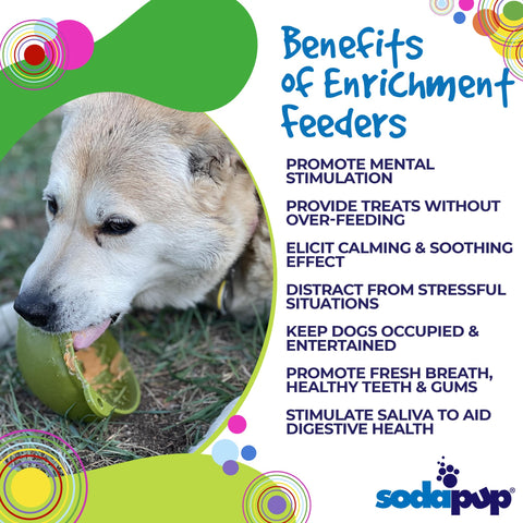 Interactive Dog Feeding Bowl – Garden of Eatin’ Tipsy Design | Made in USA SodaPup  EMAT