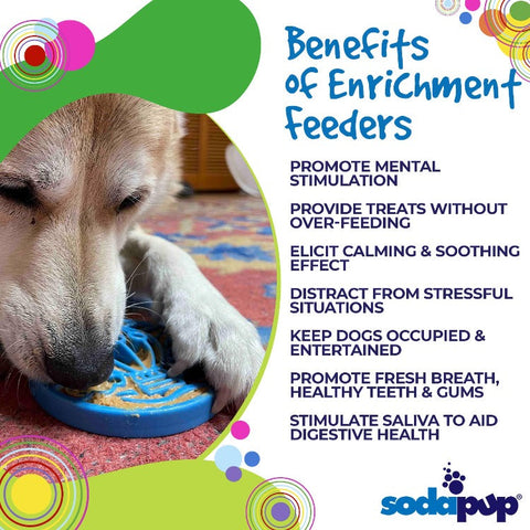 SodaPup Durable Nylon Dog Enrichment Feeder – Air eCoin Design | Made in USA SodaPup  ECOIN