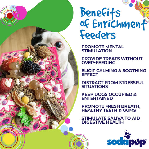 Flower Power Slow Feeder Lick Mat – Calming Pet Enrichment Toy | Made in USA SodaPup  EMAT