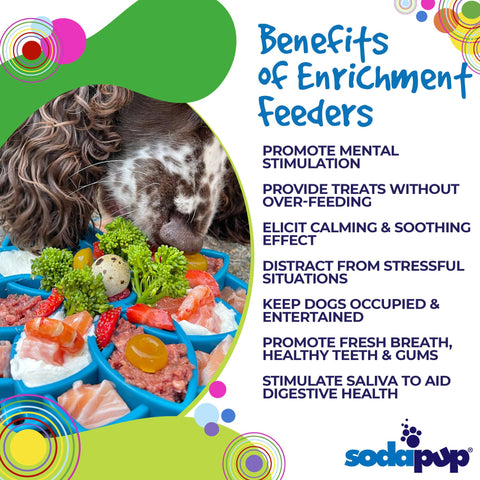 Mandala Design Dog Enrichment Slow Feeder Tray – Interactive Lick Mat | Made in USA SodaPup  ETRAY