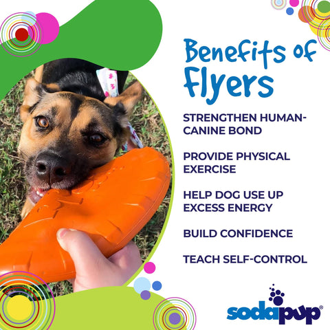 Durable Rubber Dog Retrieving Frisbee – Bottle Cap Design – Orange | Made in USA SodaPup  Rubber Dog Toys