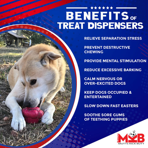 Durable Cupcake Rubber Dog Chew Toy – Treat Dispenser for Power Chewers | Made in USA SodaPup  Rubber Dog Toys