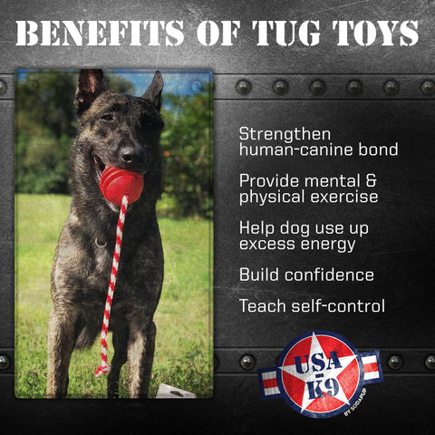 USA-K9 Stars and Stripes Durable Rubber Tug and Chew Dog Toy – Made in USA SodaPup  Rubber Dog Toys