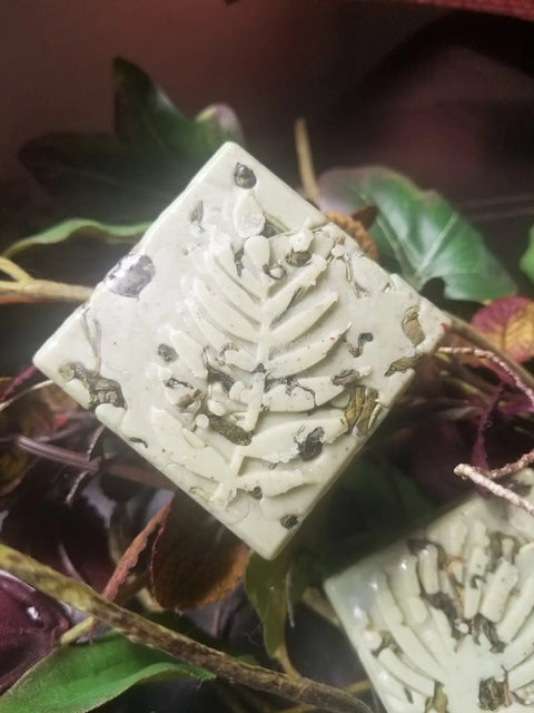 The Body Butter Scrub - Into the Woods by Bathsheba Body Works is a square, pale green organic soap bar with a raised fern design and plant pieces, shown resting on dark green and burgundy leaves.