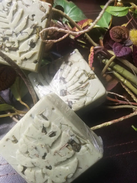 Three square bars of Bathsheba Body Works’ Body Butter Scrub - Into the Woods are shown on a dark surface with leaf imprints and herbs, surrounded by foliage—ideal for natural skincare and organic ingredient lovers.