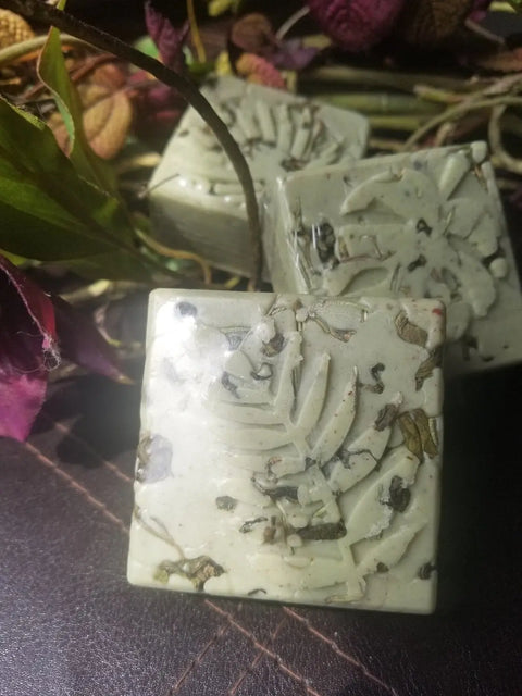 Three square, greenish bars of Bathsheba Body Works Body Butter Scrub – Into the Woods, with dried herbs visible inside, rest on a dark surface amid foliage. Made with organic ingredients, they offer natural skincare benefits.