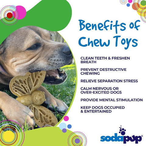Butterfly Nylon Dog Chew Toy – Durable Enrichment Play – Made in USA SodaPup  Nylon Dog Toys
