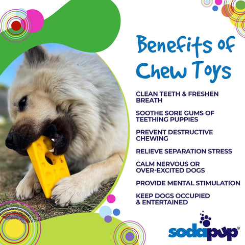 Swiss Cheese Wedge Durable Nylon Dog Chew Toy – Tough Power Chewer | Made in USA SodaPup  Nylon Dog Toys