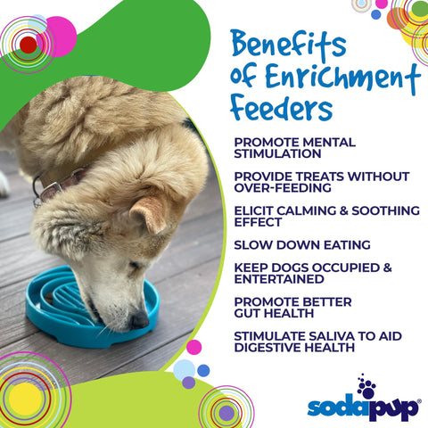 Baja Design Enrichment Slow Feeder Tray for Dogs – Light Blue | Made in USA SodaPup  ETRAY