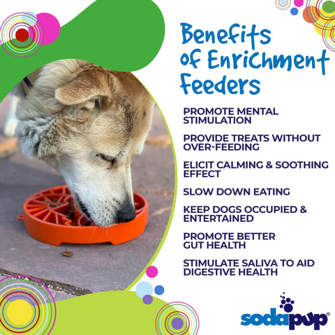 Sun and Moon Slow Feeder Dog Bowl – Interactive eTray Enrichment | Made in USA SodaPup  ETRAY
