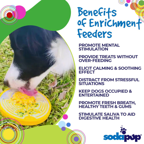 Earth Nylon Enrichment Dog Snacking Coin – Durable Chew Toy | Made in USA SodaPup  ECOIN