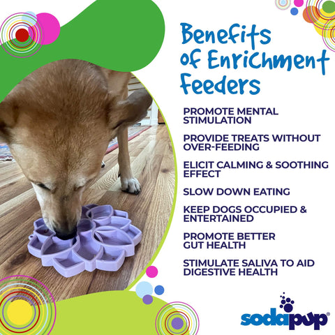 Mandala Slow Feeder Dog Bowl – Soft Silicone ETray With Suction Cups | Made in USA SodaPup  ETRAY