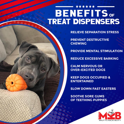 Jack O Lantern Durable Rubber Dog Chew Toy And Treat Dispenser – Made In USA SodaPup  Rubber Dog Toys