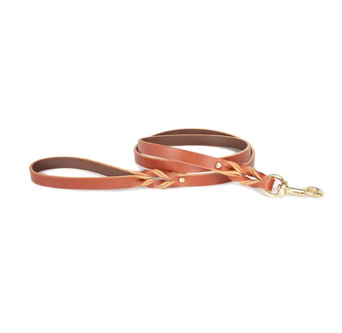 5 Ft Braided Leather Dog Leash – Durable 3/4 Inch Standard Leash for Small to Extra Large Dogs | Made in USA Auburn Leathercrafters  item