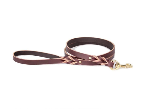 5 Ft Braided Leather Dog Leash – Durable 3/4 Inch Standard Leash for Small to Extra Large Dogs | Made in USA Auburn Leathercrafters  item