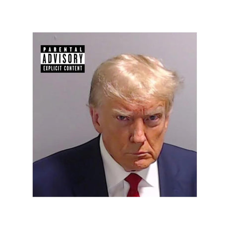 Trump Mugshot Vinyl Sticker Set – 3 Inch Durable Decals – 10 Pack | Made in USA Chatelet Manufacturing 
