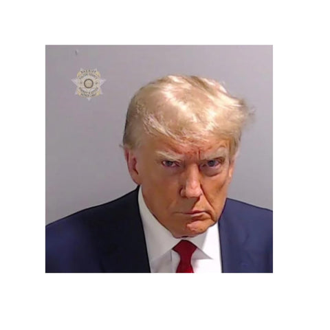 Trump Mugshot Vinyl Sticker Set – 3 Inch Durable Decals – 10 Pack | Made in USA Chatelet Manufacturing 